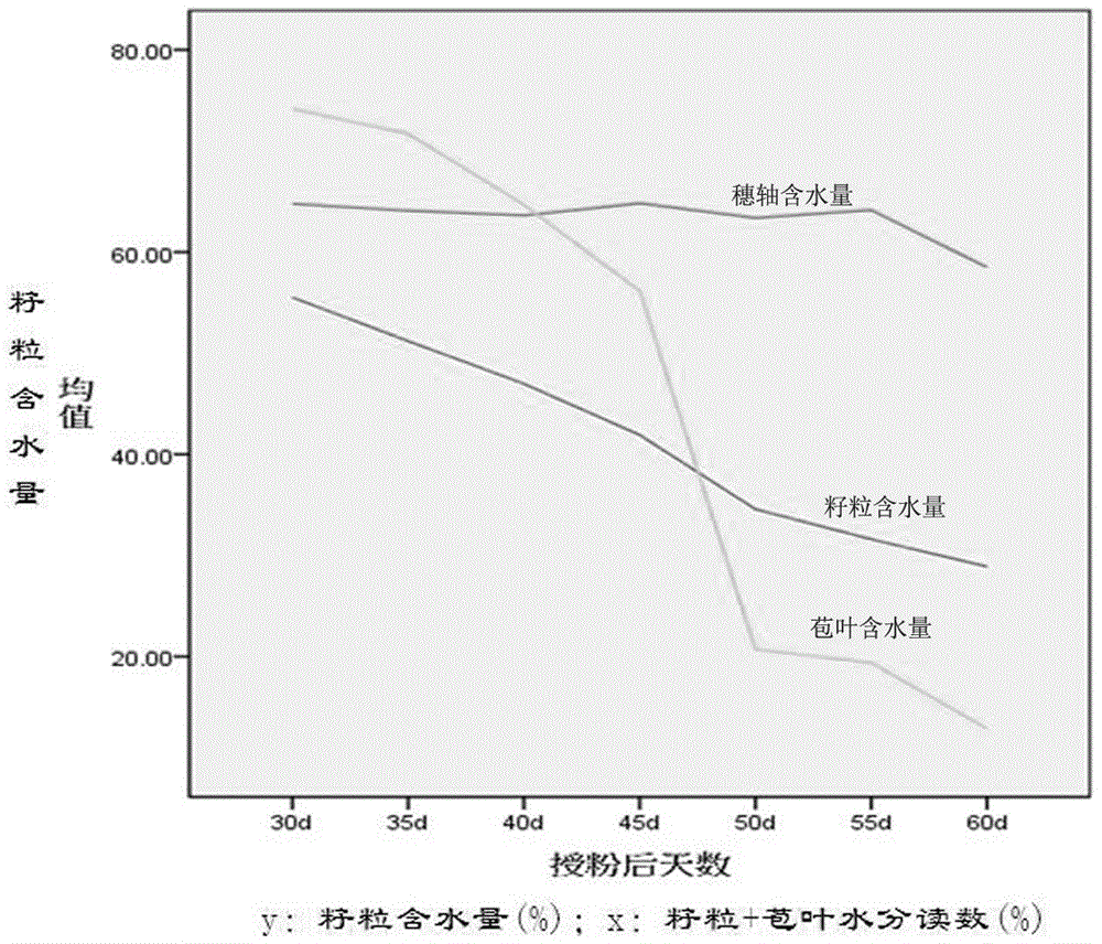 Method for fast measuring corn kernel water loss rate based on regression model and application