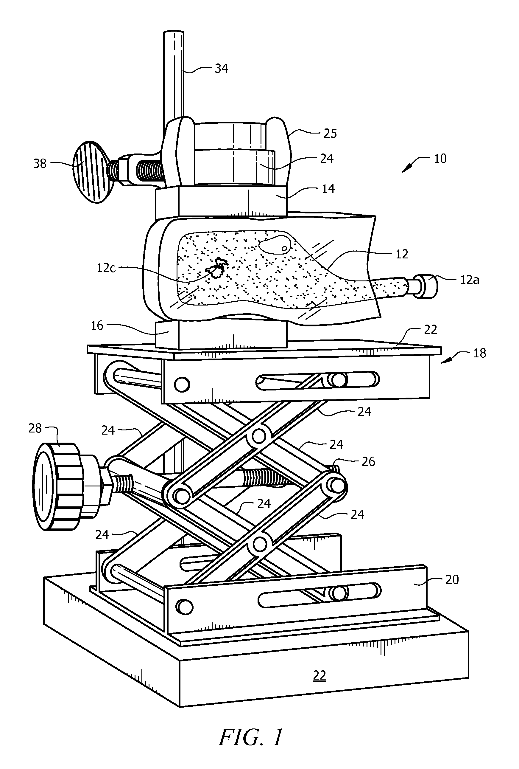 Magnetic three-dimensional cell culture apparatus and method