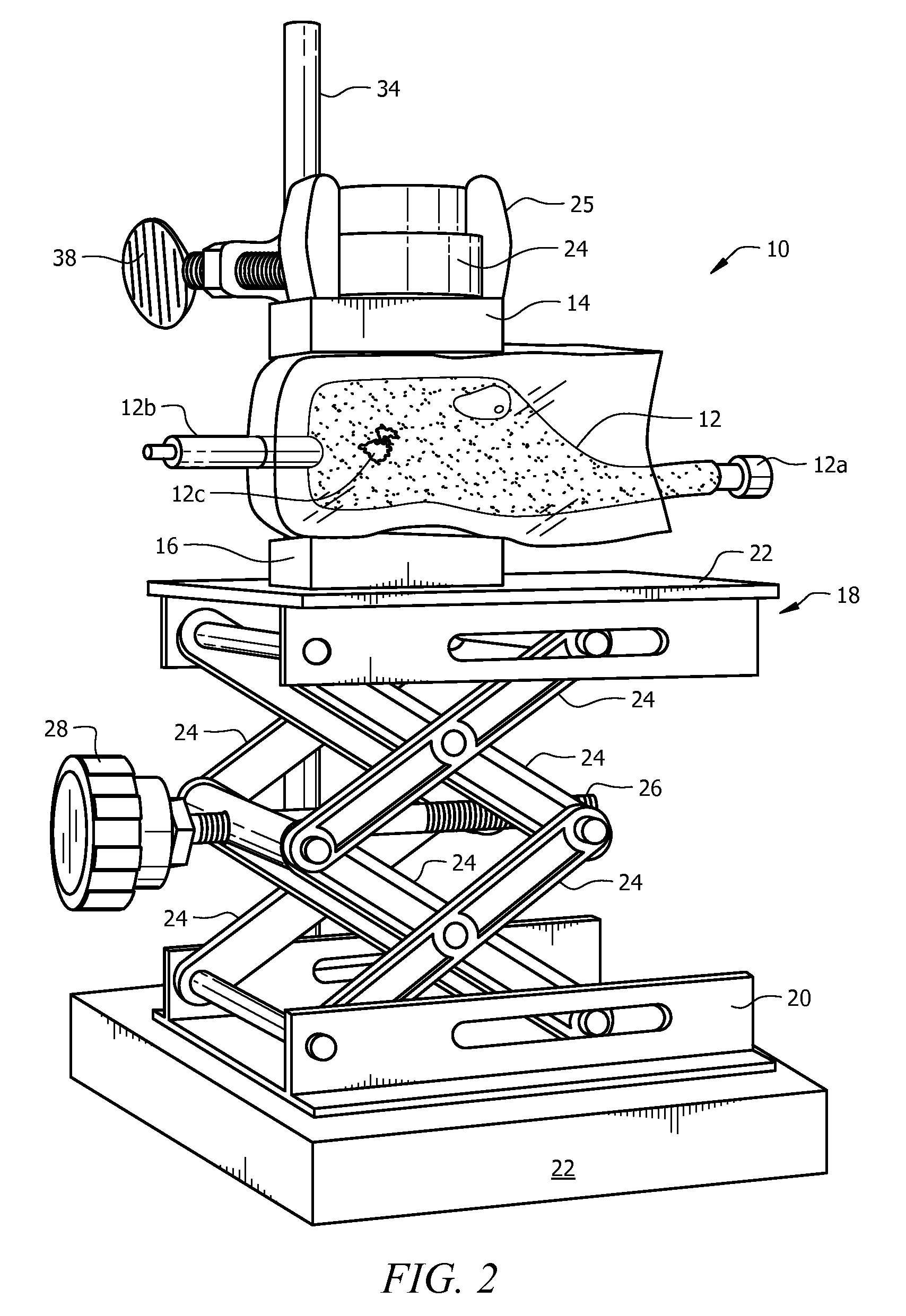 Magnetic three-dimensional cell culture apparatus and method