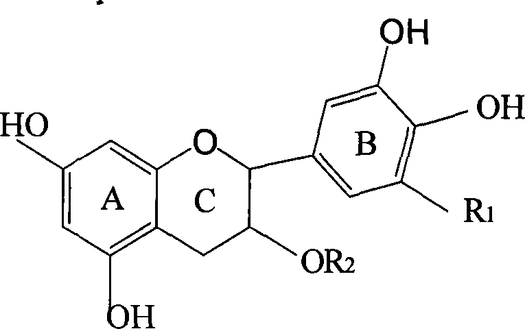 Method for preparing nano tea polypherals rare earth complexes by liquid phase method