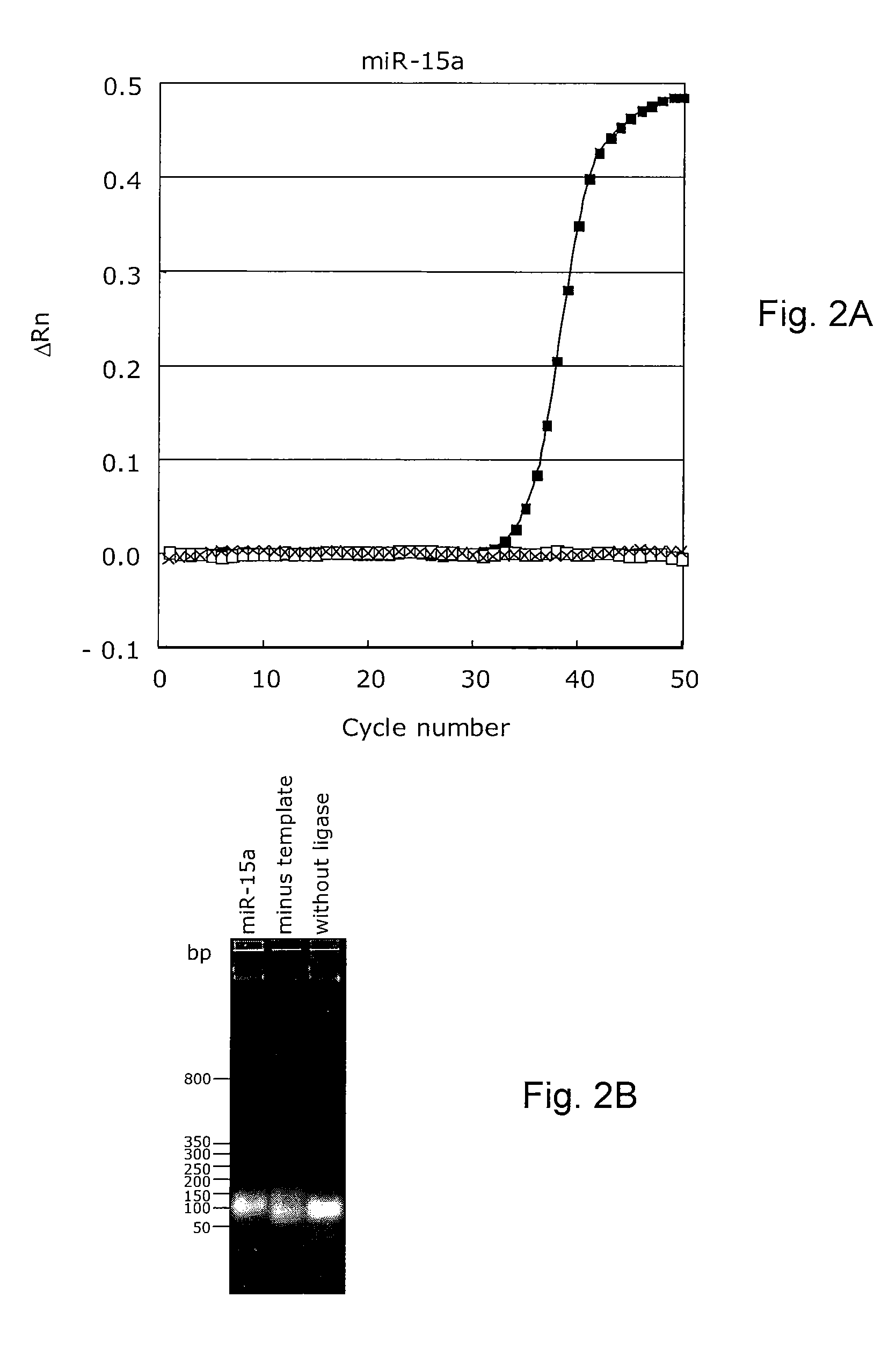 Novel methods for quantification of micrornas and small interfering rnas