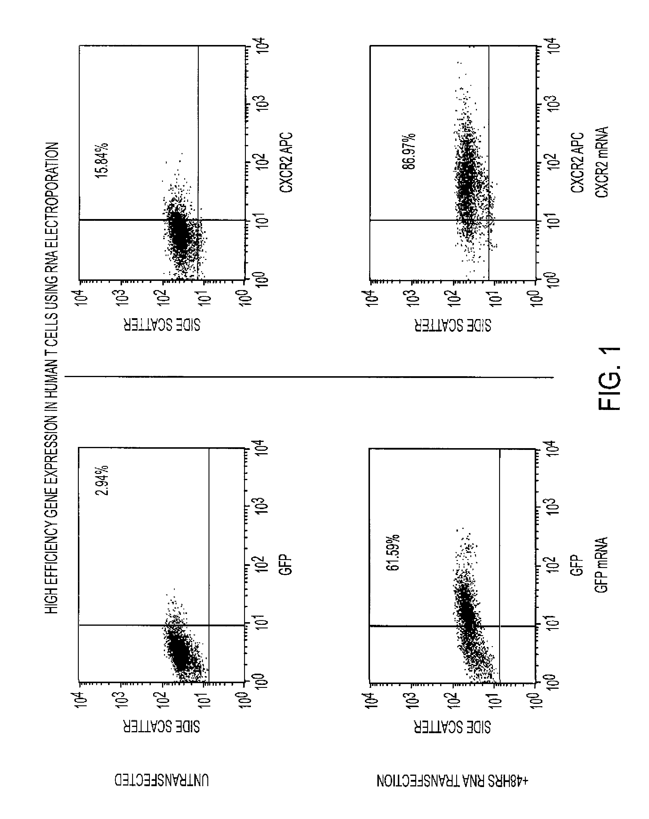 Selection of antigen-specific t cells