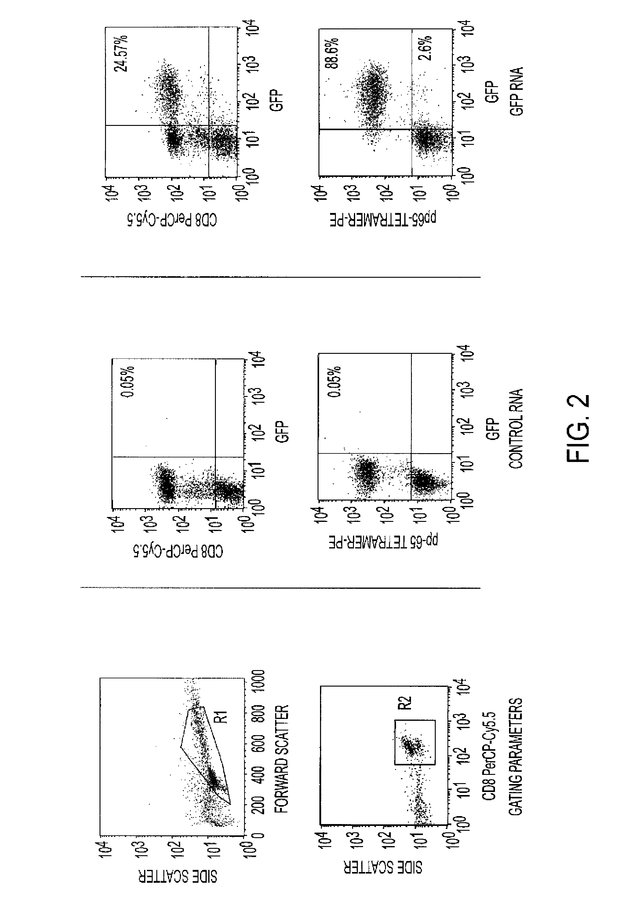 Selection of antigen-specific t cells