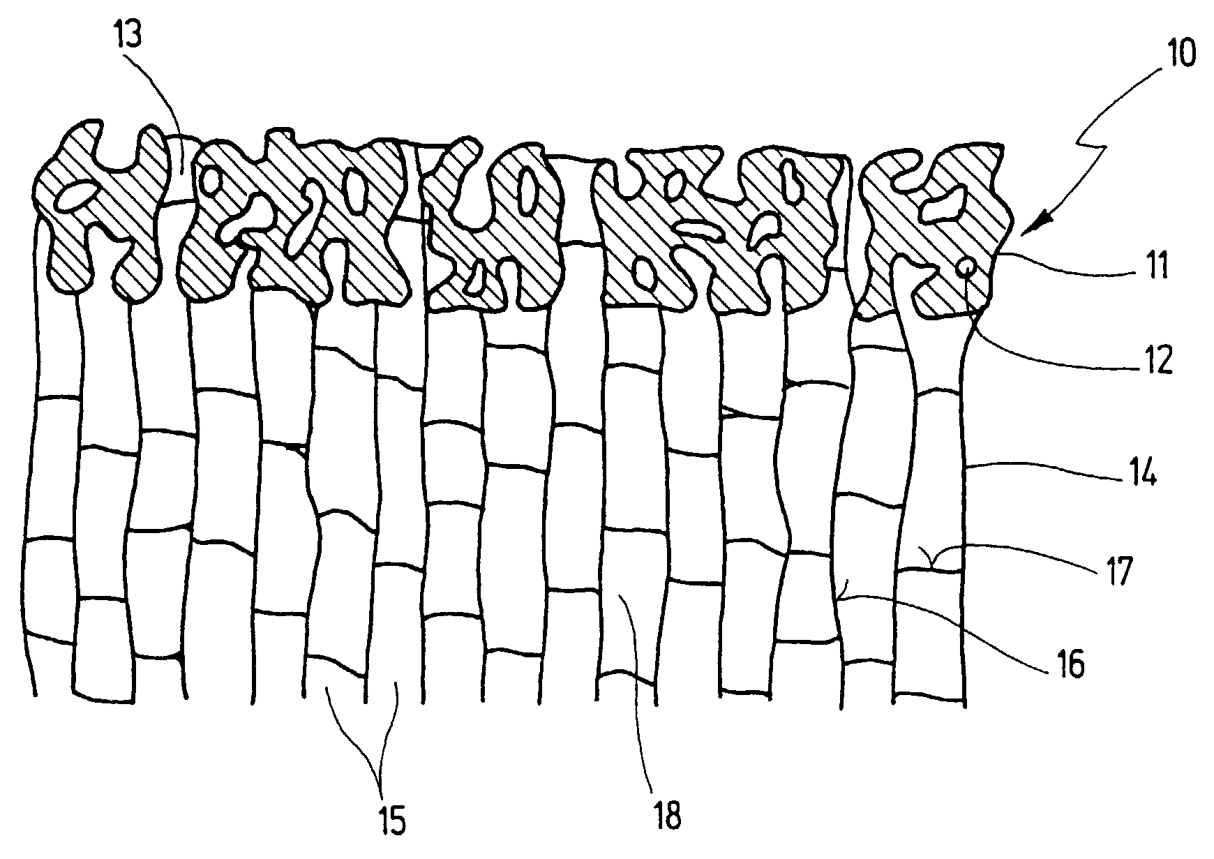 Implant and process for producing it