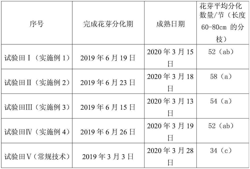 A planting method for promoting flower bud differentiation of planted yellow-meat nectarine trees in facilities