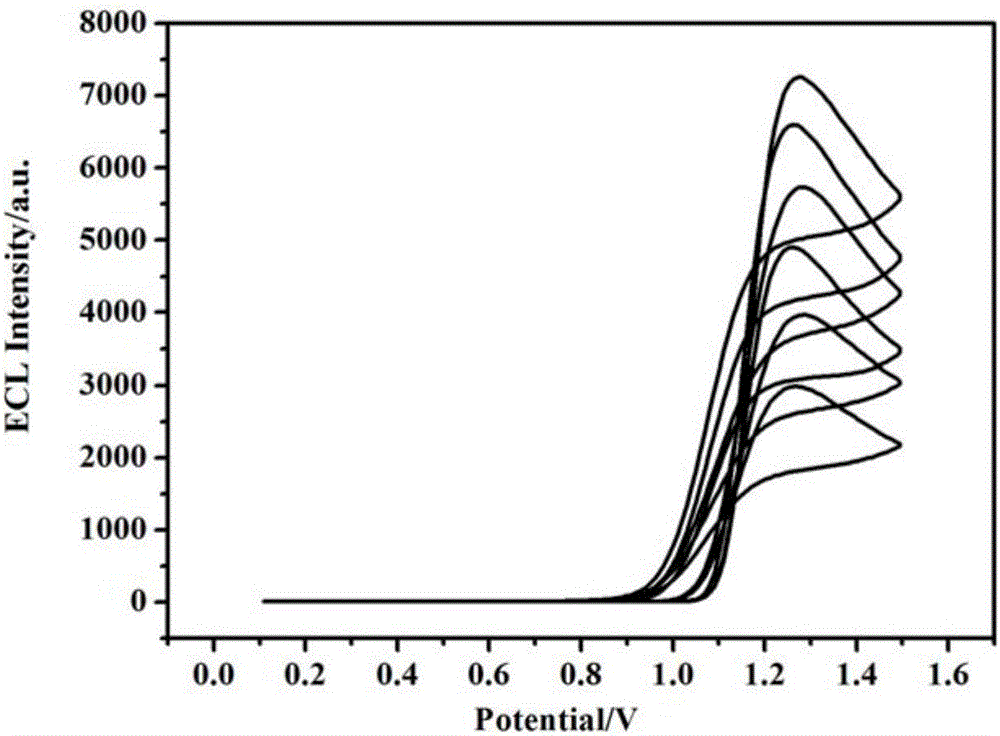 Method for fixation of tris bipyridine ruthenium and electrochemiluminescence detection of malachite green