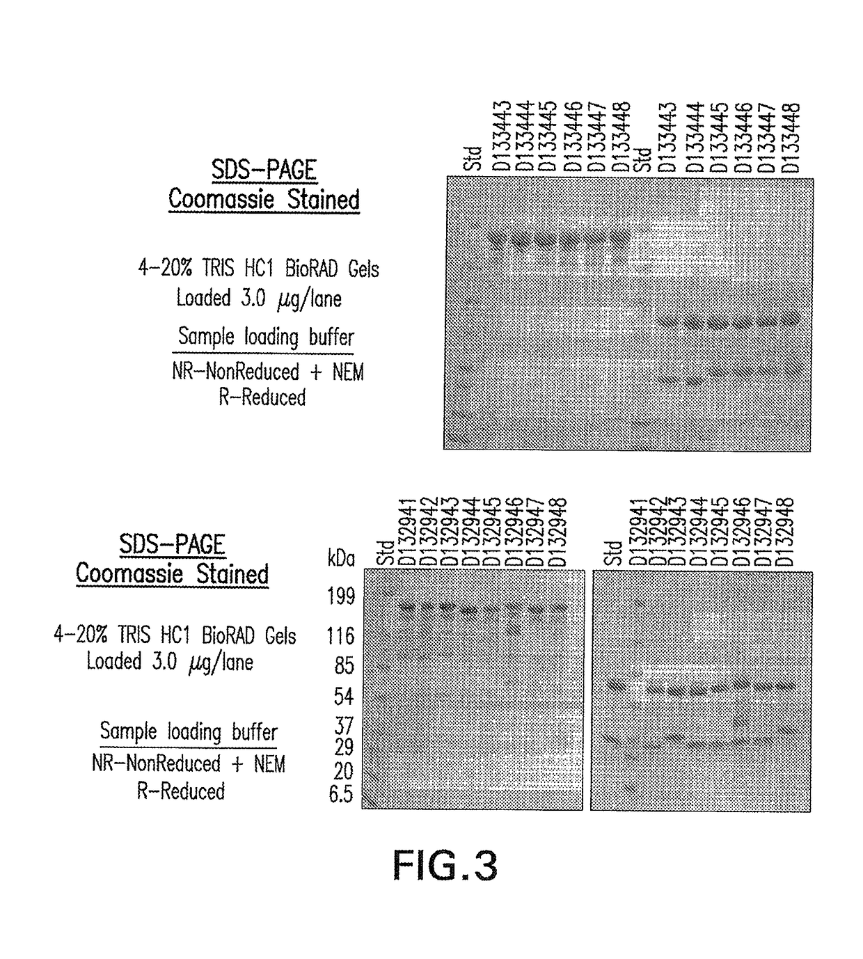 Anti-blys antibodies