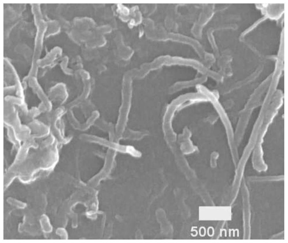 Conjugated ladder polymer-carbon nanotube composite material and its preparation method and application