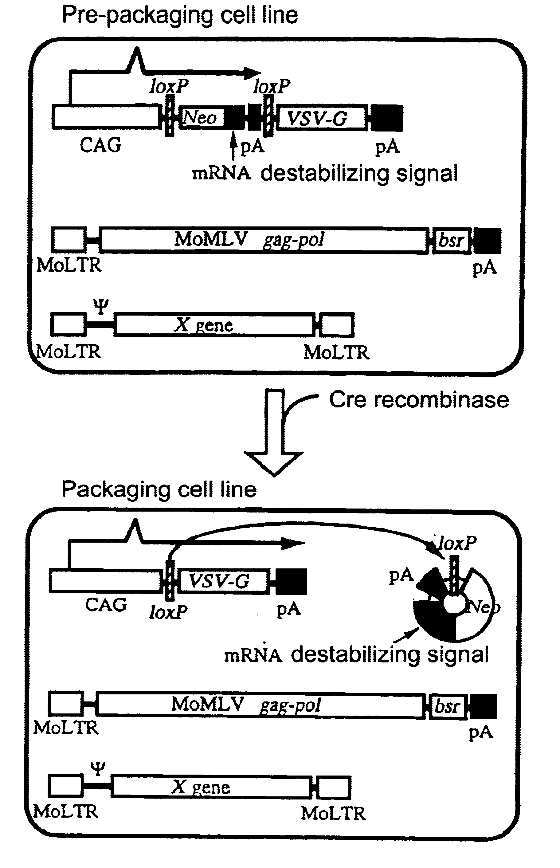 Method for preparing retrovirus vector for gene therapy