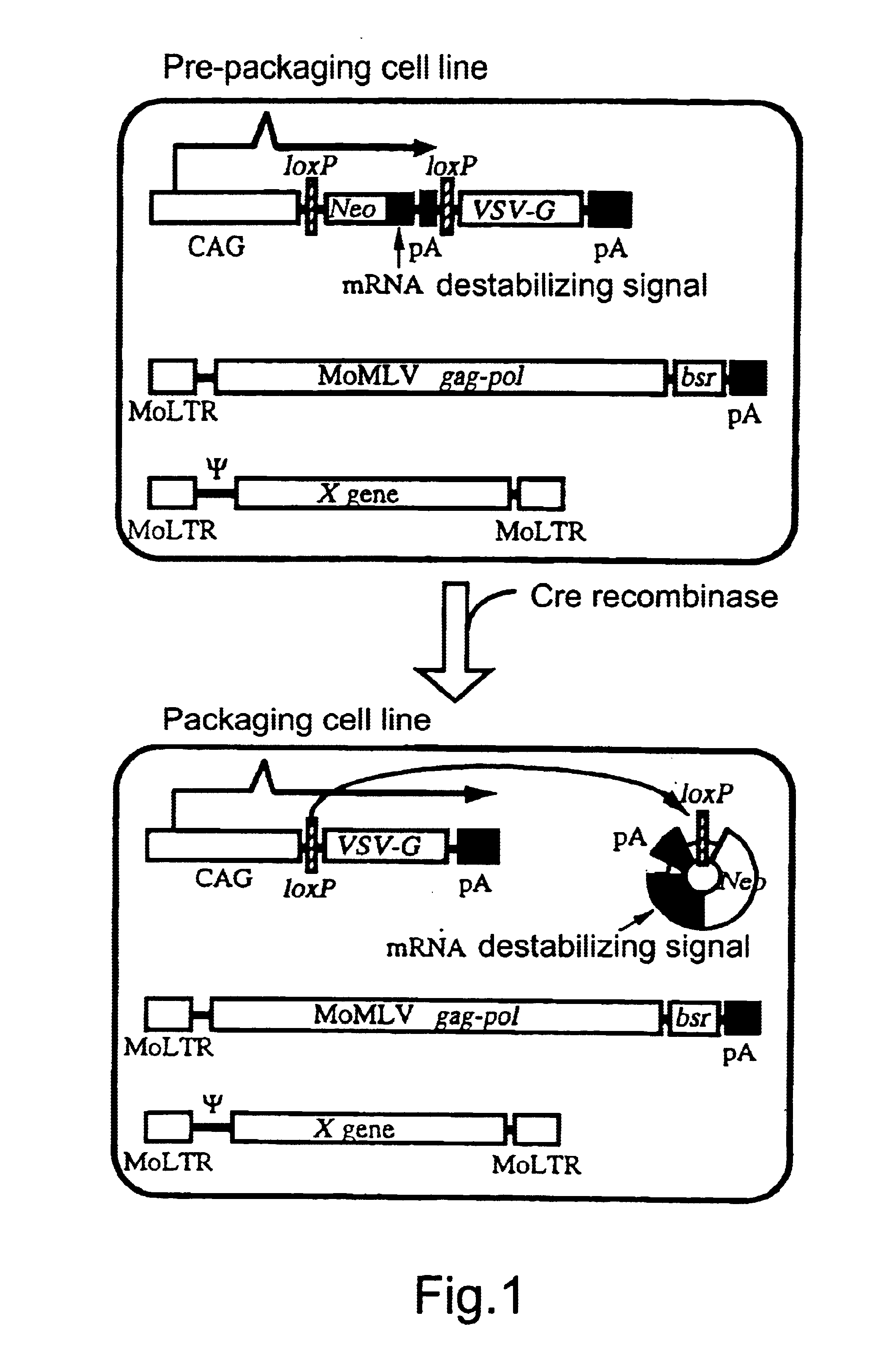 Method for preparing retrovirus vector for gene therapy