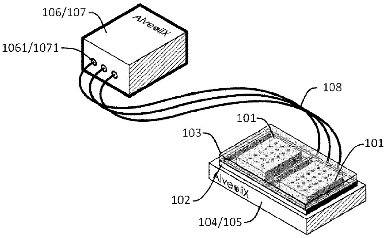 Cell culturing system and method