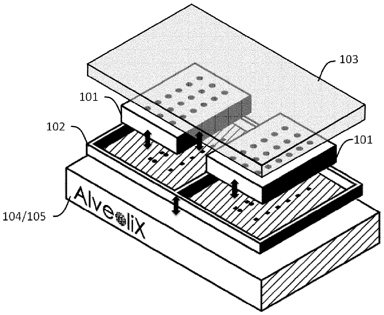 Cell culturing system and method