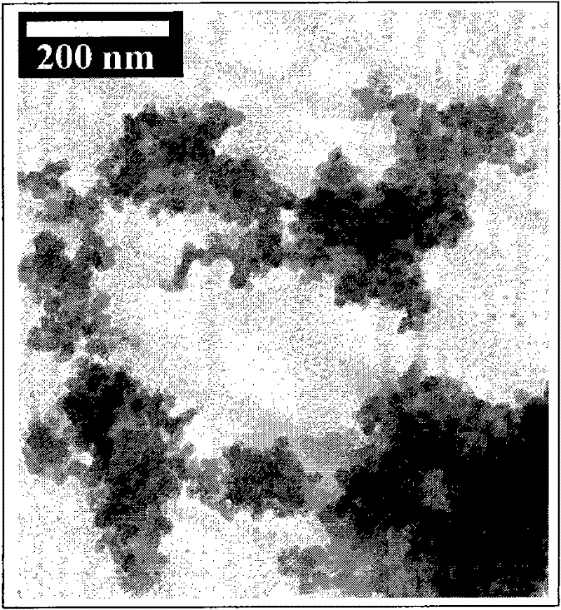 Ratio fluorescent nano hydrogel for pH value sensing and preparation method thereof