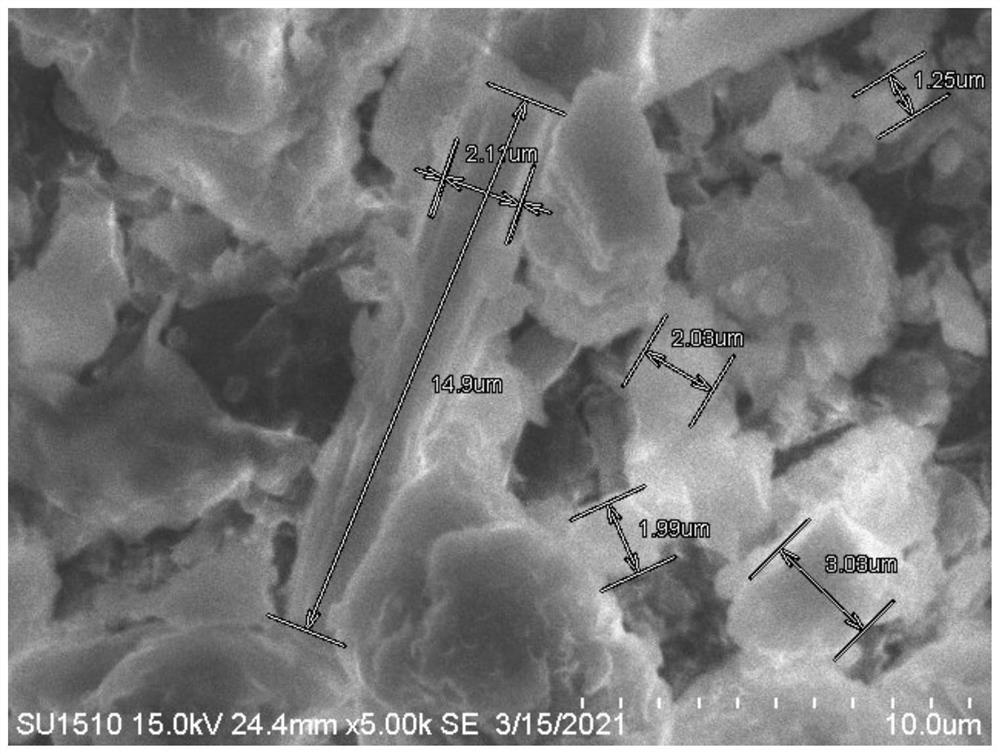 Method for preparing taurine from mussels