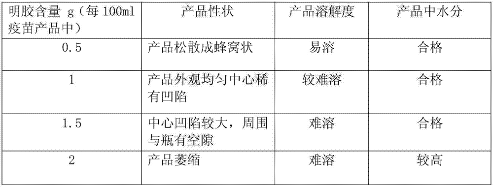 Gelatin protective agent for chicken infectious laryngotracheitis recombined avian pox virus live vaccine