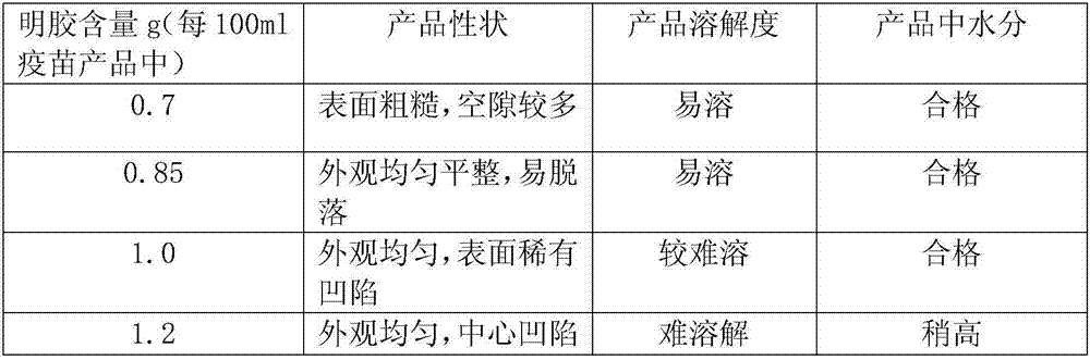 Gelatin protective agent for chicken infectious laryngotracheitis recombined avian pox virus live vaccine