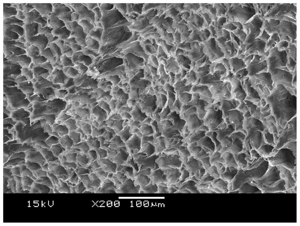 PET (Polyethylene Terephthalate) foam material and manufacturing method thereof