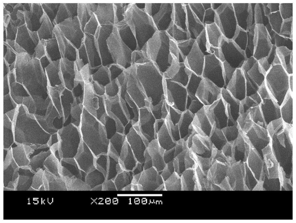 PET (Polyethylene Terephthalate) foam material and manufacturing method thereof