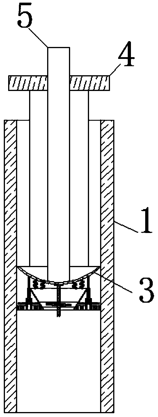 Medical-purpose advanced immunization apparatus for pseudorabies inpiglets in pseudorabies-positive pig farms