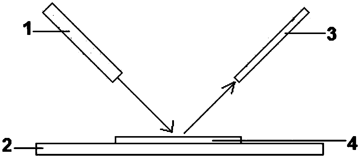 Pseudosciaena polyactis storage time detection method