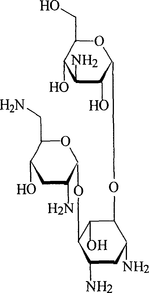 Nebcin inhalation powder mist agent and its preparation method