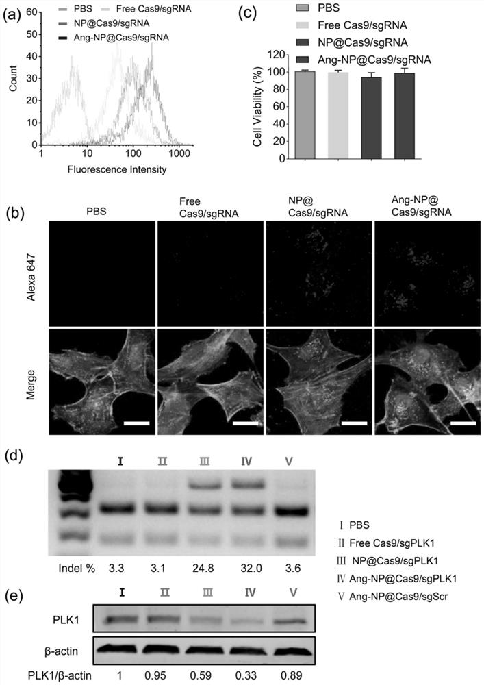 Drug carrier, brain-targeted nanomedicine based on CRISPR gene editing technology and its preparation method and application