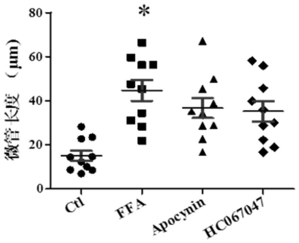 Method for preparing medicine for reducing coupling degree of TRPV4 and NOX2