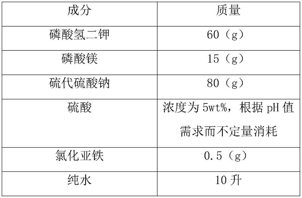 Bacteria solution group for improving the survival rate of superficial root plant transplantation and its preparation and use method