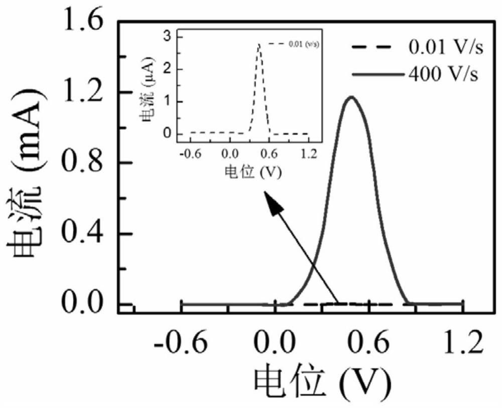 Preparation method and application of electrochemical biosensor for detecting mercury ions based on fast scanning cyclic voltammetry