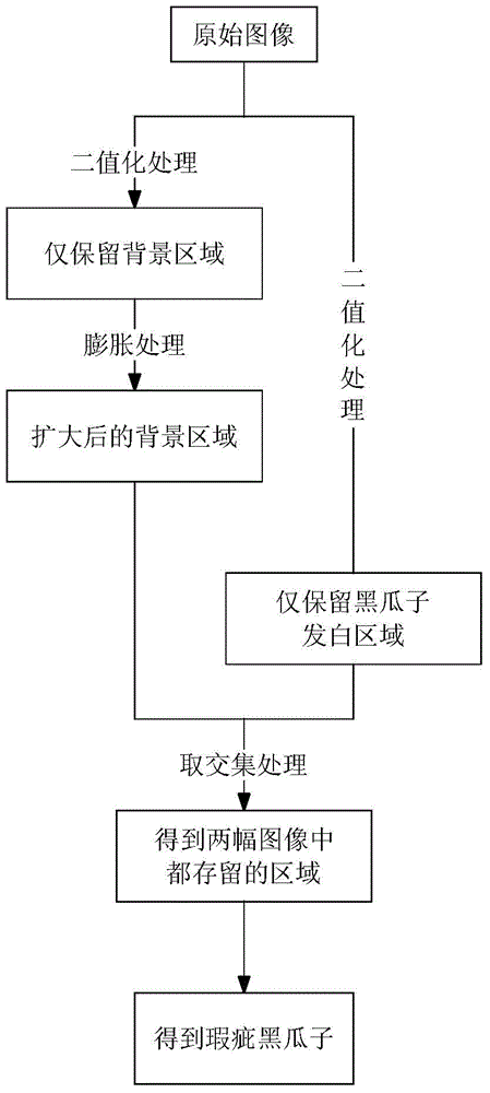 Color sorting method for black melon seeds