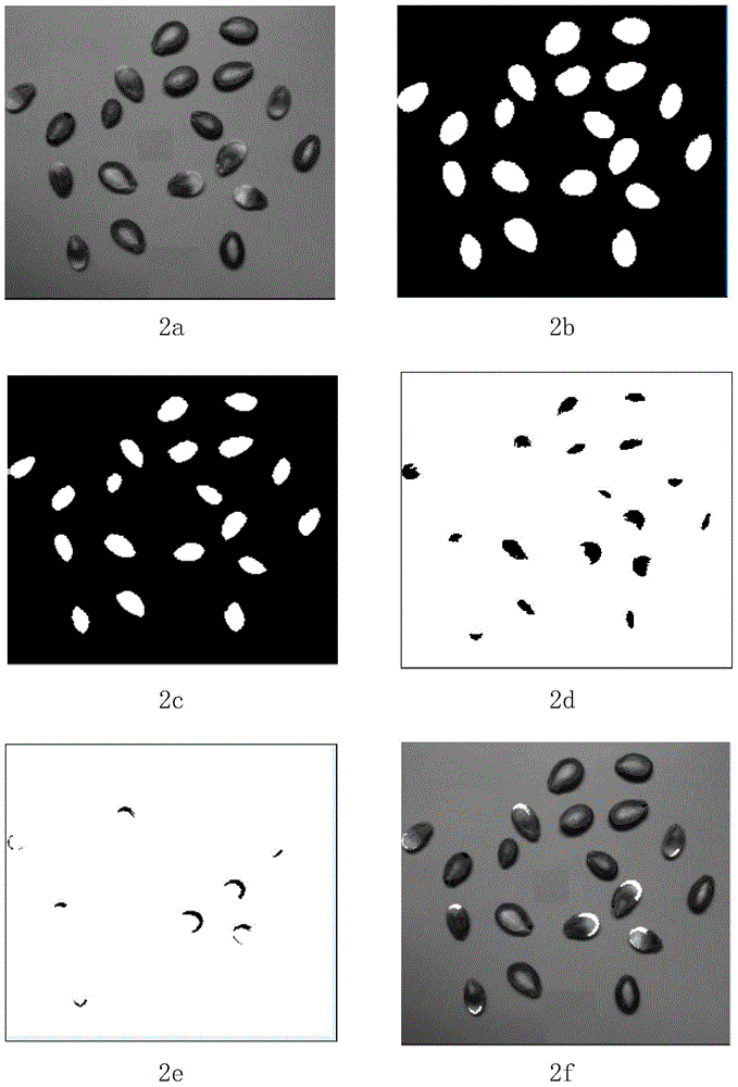 Color sorting method for black melon seeds