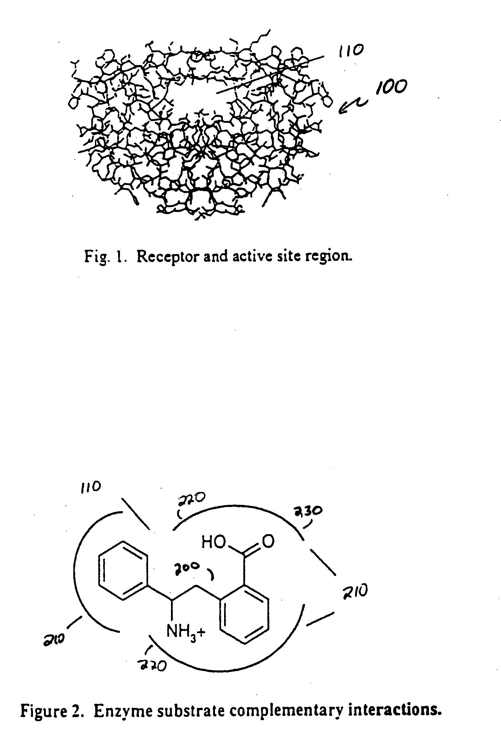 System and method for improved computer drug design