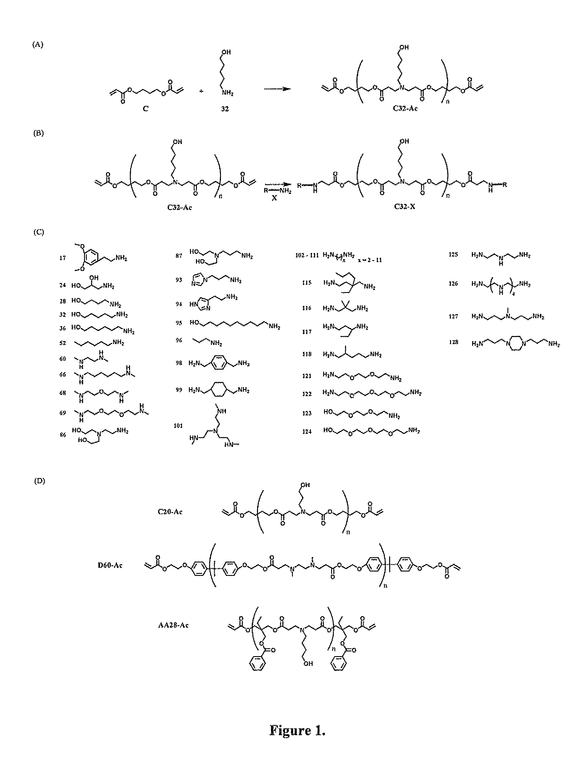 End-modified poly(beta-amino esters) and uses thereof