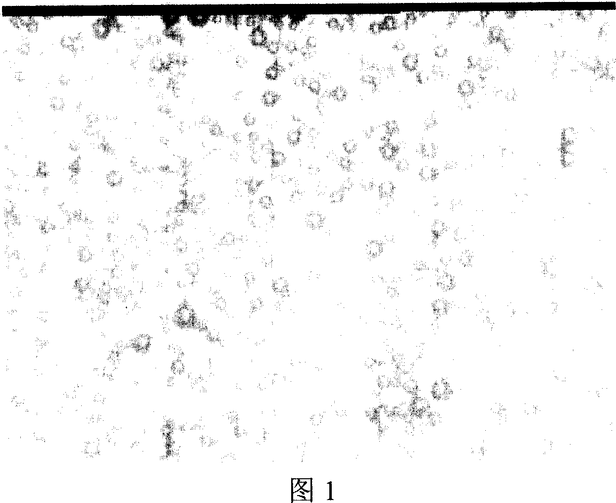 Emulsion spray drying method for preparing ultrasound microbubble contrast agent in batch