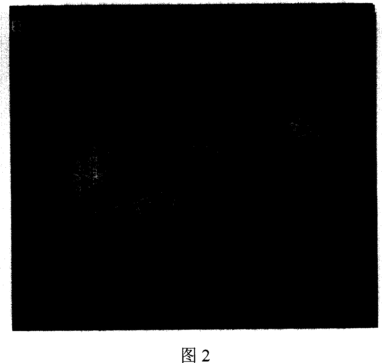 Emulsion spray drying method for preparing ultrasound microbubble contrast agent in batch