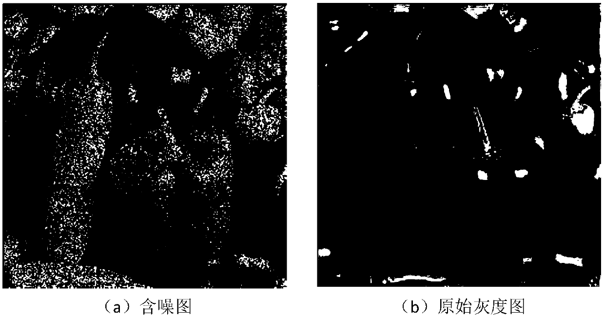 Multiplicative noise removing method based on deep neural network