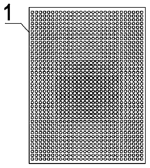 Kidney organ chip and kidney organ medicine detection model