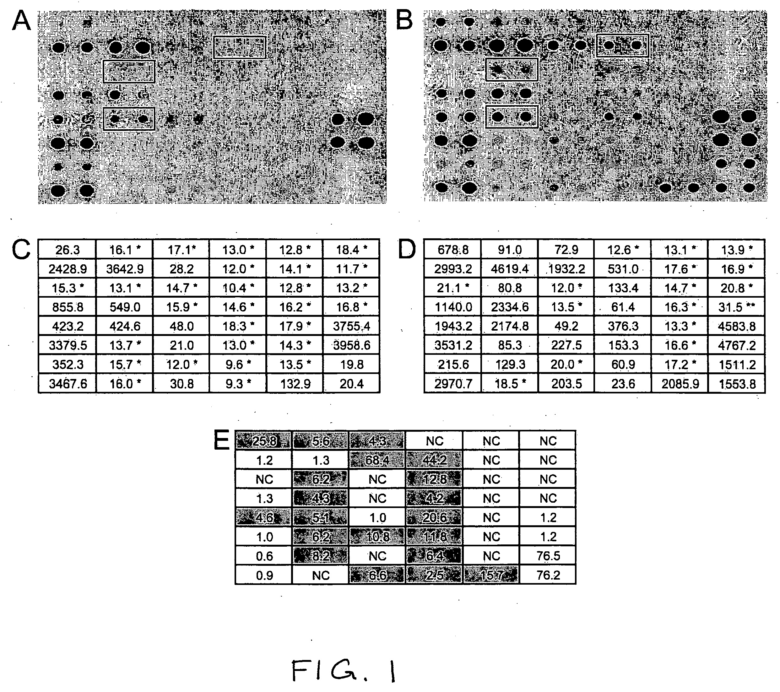 Regulated genes in cervical cancer