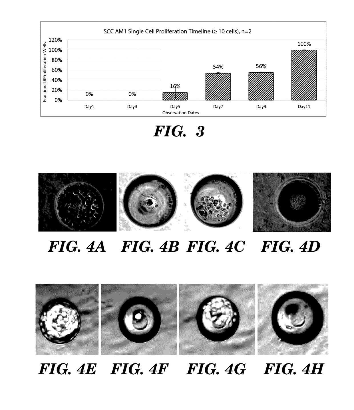 High-throughput cellular analysis using microbubble arrays