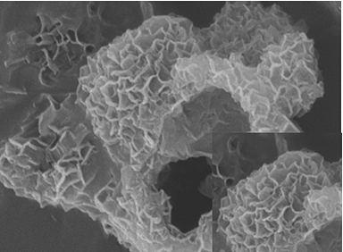 Preparation method of MOF-derived layered double hydroxide electrocatalyst with hollow structure