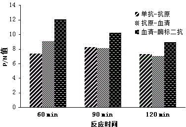 Indirect ELISA (enzyme-linked immuno-sorbent assay) kit for detecting nephropathogenic avian infectious bronchitis virus and antibody thereof