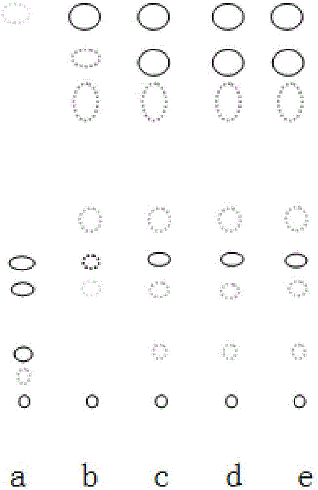 Method for distinguishing rhizoma atractylodis in traditional Chinese medicine compound