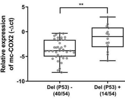 Application of mitochondria source mc-COX2 as potential marker in CLL