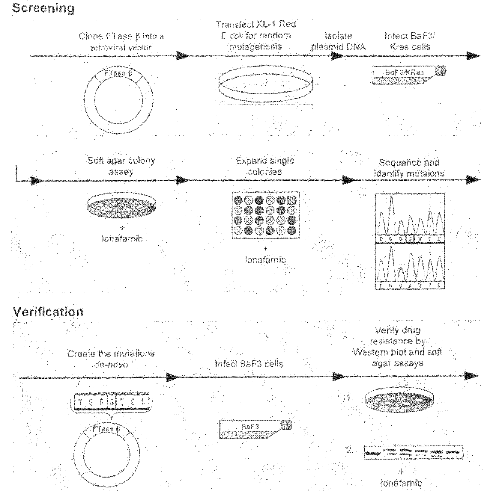 Methods for the Treatment of Disease