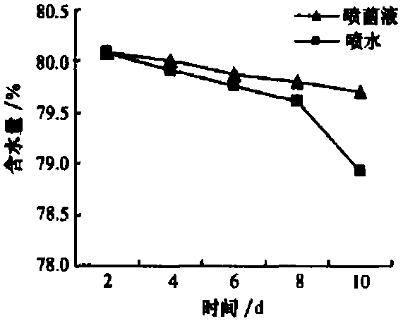 A desert oligotrophic bacterium dob153 and its application in sand fixation