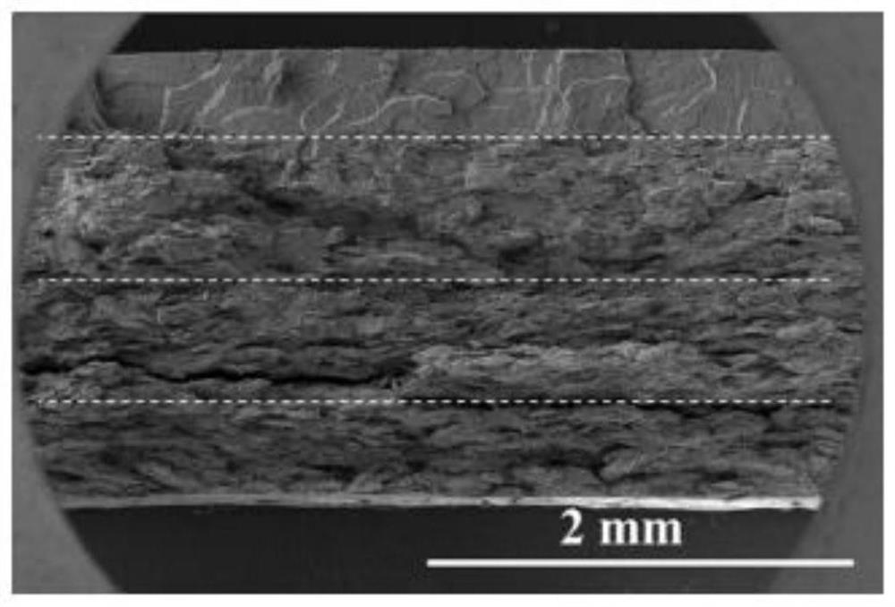 Electromagnetic shielding composite material with multilayer gradient isolation network and preparation method thereof