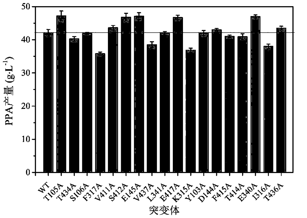 Method for efficiently producing phenylpyruvic acid