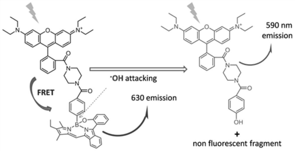 A kind of hydroxyl radical ratiometric fluorescent probe and its preparation method and application