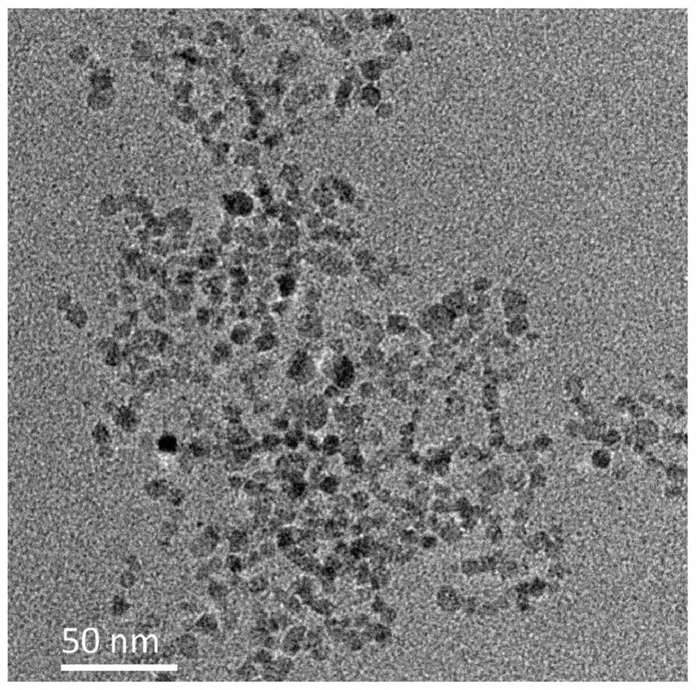 a t  <sub>1</sub> -t  <sub>2</sub> Dual nuclear magnetic resonance imaging contrast agent and preparation method and application thereof