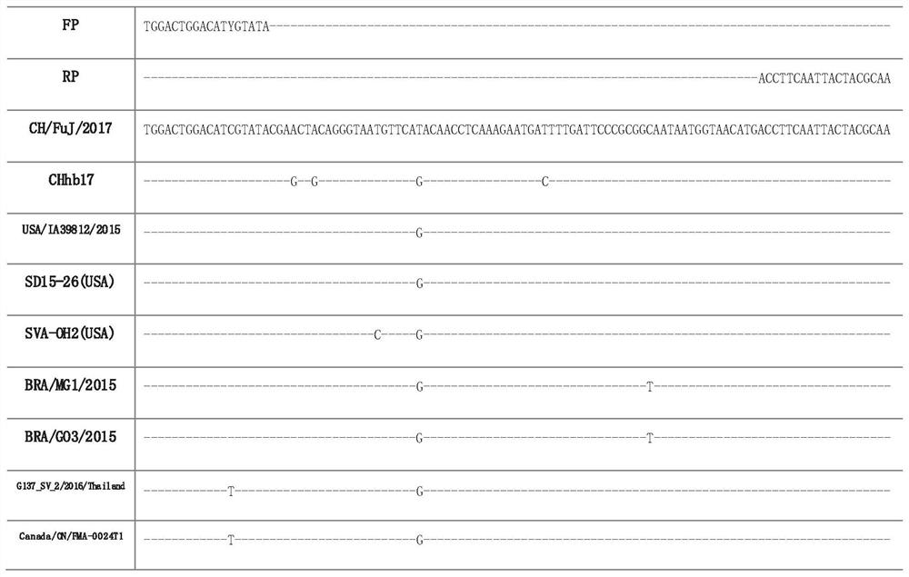 A fluorescent quantitative PCR primer and kit for detecting Seneca virus type A